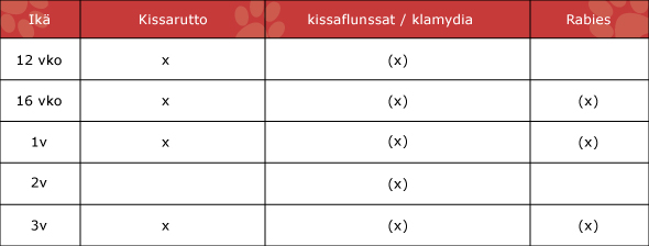 Kissojen rokotusohjelma